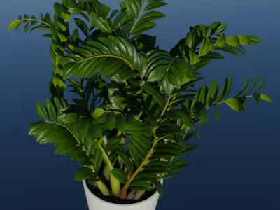 4K High Polly Pot Plants Pack 3D model