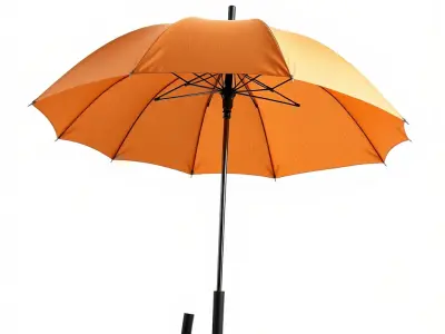 Dual Canopy Umbrella for D Visualization model pack Low-poly 3D model