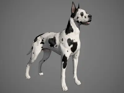 Great Dane Real-Time Low-poly 3D model