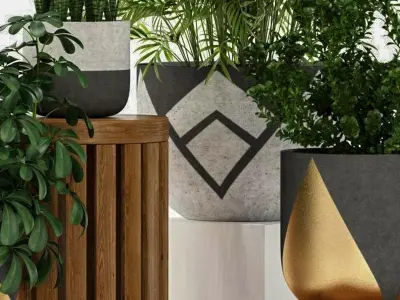 plant potted green Modern combination 3D model