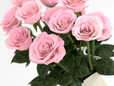 Pink roses in pither 3D model