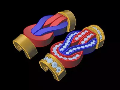 Fred Bracelet  3D print model