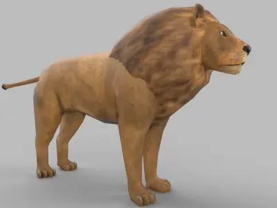 wild lion 3D model