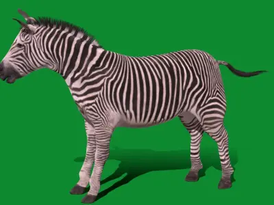 Imperial Zebra Low-poly 3D model