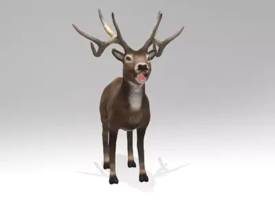 This model Deer 3D model