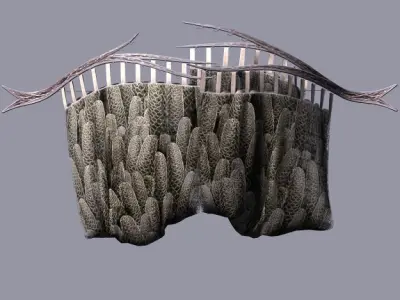 Flowing arched drapery Low-poly 3D model