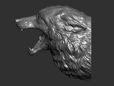 Fox grin head 3D print model