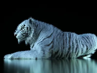 Raja The White Bengal Tiger 3D Model 3D model