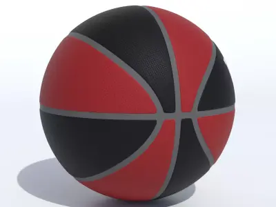 Wilson Toronto Raptors Basketball 3D model