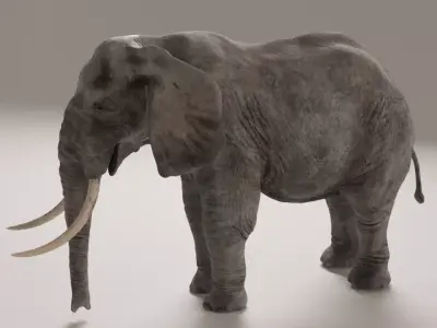 Elephant with long tusks Low-poly 3D model
