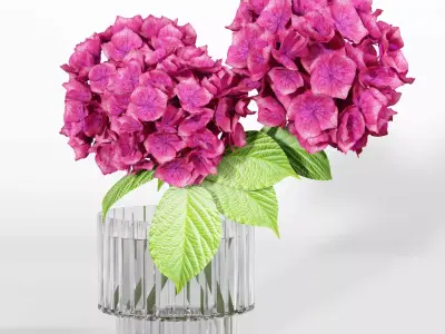 Flowe bouquets 3D model