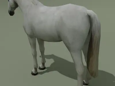 LowPoly Horse D White Grey Low-poly 3D model