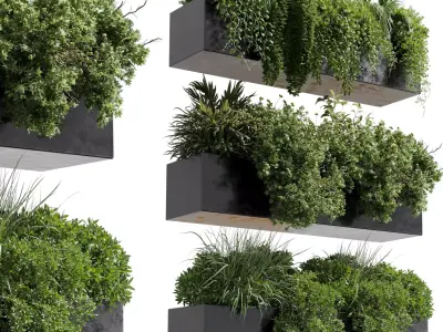 wall plant - hanging plants collection Indoor plant 446  3D model