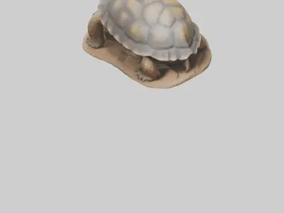 Giant Tortoise sitting model Low-poly 3D model