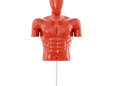 Sports mannequin torso 168 3D model