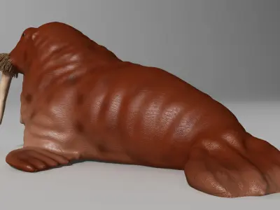 walrus Rigged 3D model