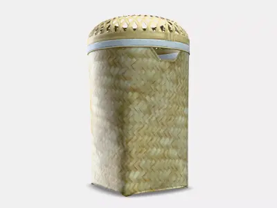 SALUDING Laundry basket Low-poly 3D model
