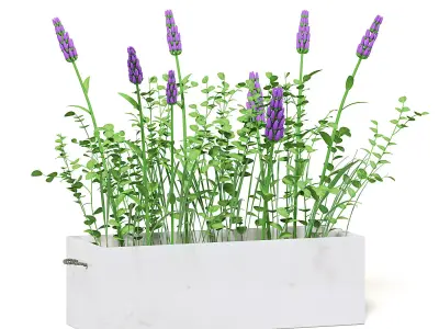 Flowers 3D Model in Wooden Box 3D model