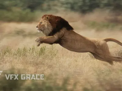 Male Lion Animated VFX Grace 3D model