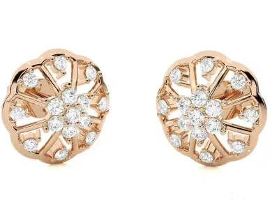 Light wt Women Diamond Earrings  3D print model