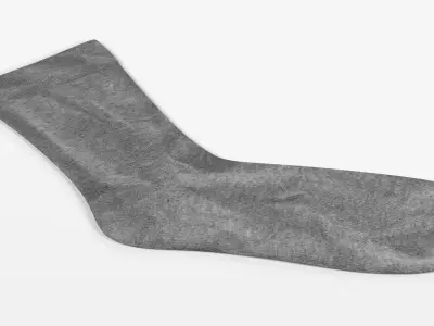 Grey Sock - Realistic and Universal Cotton Footwear 3D model