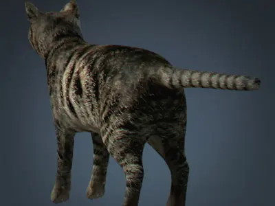 Pack - Domestic Animals 3D model