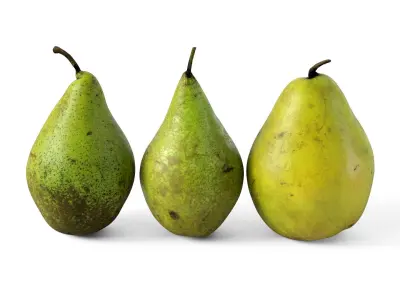Pears 01 3D model