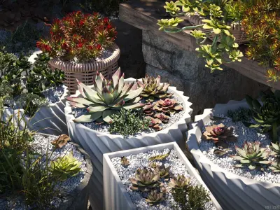 Maxtree Plant Models Vol 14 Low Poly - Mesh 3D model