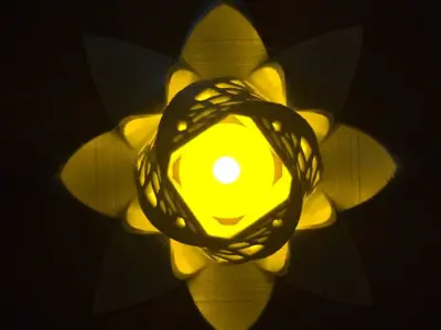 3D printed lotus flower lamp Free 3D print model