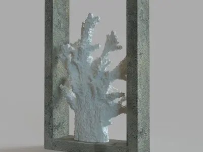 Finger Coral Shadowbox 3D model