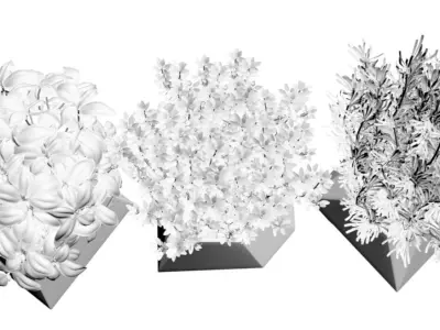 Pots with plants 3D model