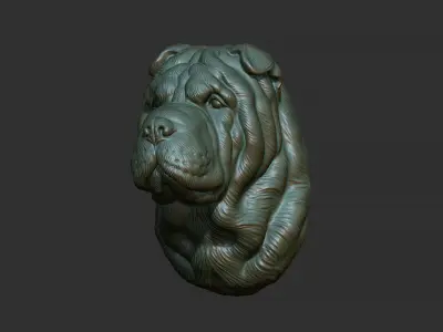 Shar Pei dog head 3D print model
