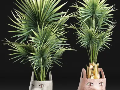 Plants Collection 198 Sabal Minor 3D model