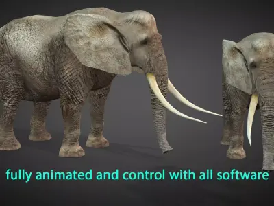 African Elephant Animated 3D model Low-poly 3D model purchase
