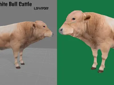 White Bull Cattle Low-poly 3D model