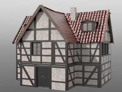Framework Village Low-poly 3D model