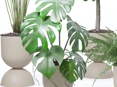 Plants collection 127 3D model