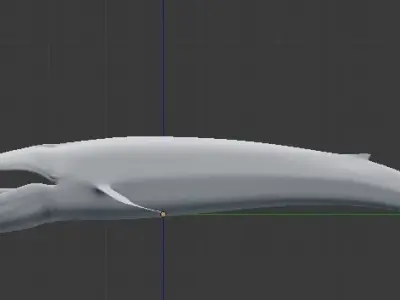 Whale shark 3D model 2