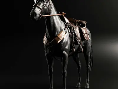 Rigged Horse And Saddle 3D model