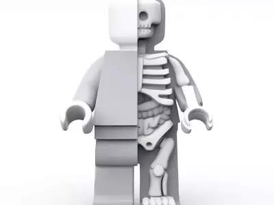  Dissected Brick Minifig Anatomic LEGO toy 3D print model