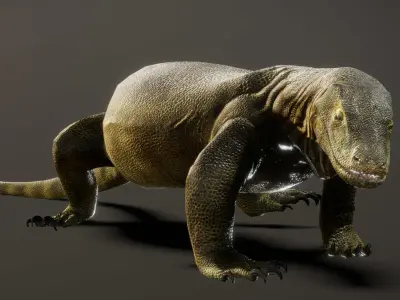 Komodo Dragon  3D model