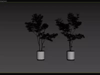 Modern Potted Green Tree 3D Model Collection 3D model