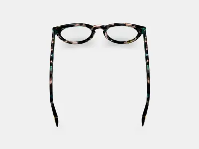 Isla Eyeglasses in Aventurine Tortoise 3D model