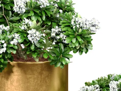 Bouquet Set of white flowers inclassic gold tall vase urn pot  3D model