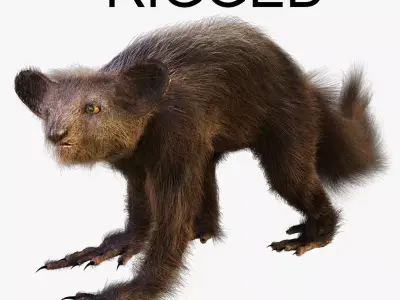 Aye Aye werewolf 3D model