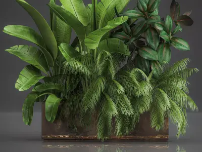 Decorative plants for outdoor and interior in metal pots 1057 3D model