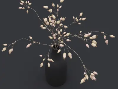 3D Dried Grass Flowers II 3D model