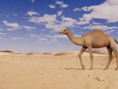 Camel LowPoly in desert Low-poly 3D model