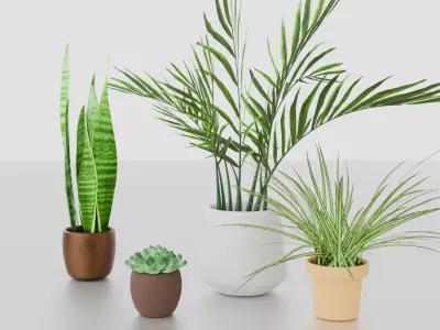 Indoor plants for decoration Low-poly 3D model