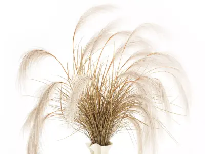 Bouquet dried flowers Cortaderia pampas branches vase decor 3D model
